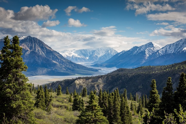 Alpine trek